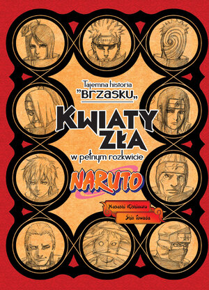 Naruto - Tajemna historia Brzasku