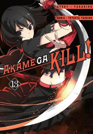 Akame ga Kill #13