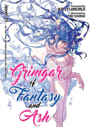 Grimgar of Fantasy and Ash vol 11 Novel