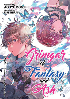 Grimgar of Fantasy and Ash vol 13 Novel