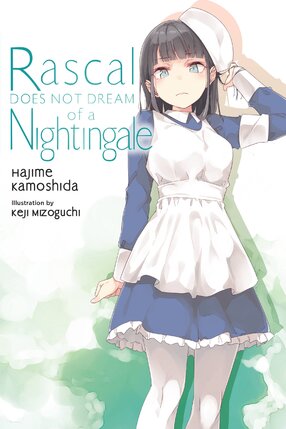 Rascal Does Not Dream vol 11 Light Novel