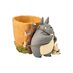 Preorder: My Neighbor Totoro Plant Pot Totoro's Delivery