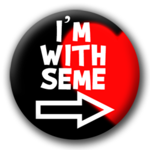 i'm with seme serce
