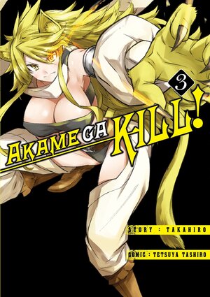 Akame ga Kill #03