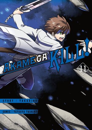Akame ga Kill #11