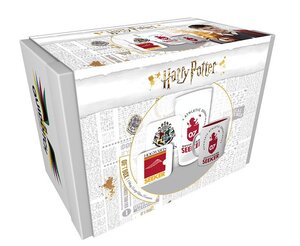 Harry Potter Gift Box Quidditch