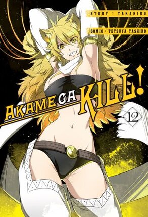 Akame ga Kill #12