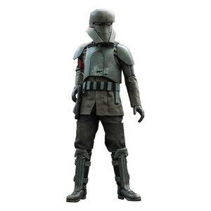 Star Wars The Mandalorian Action Figure 1/6 Transport Trooper 31 cm