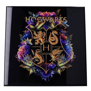 Harry Potter Crystal Clear Picture Hogwarts Fine Oddities 32 x 32 cm