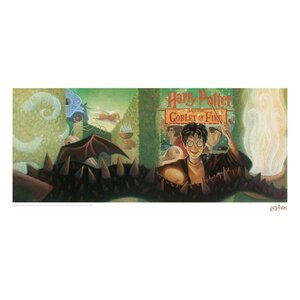 Harry Potter Art Print Goblet of Fire Book Cover Artwork Limited Edition 42 x 30 cm