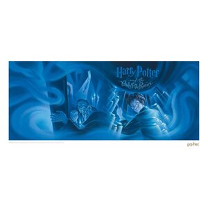 Harry Potter Art Print Order of the Phoenix Book Cover Artwork Limited Edition 42 x 30 cm