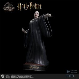 Harry Potter and the Deathly Hallows Life-Size Statue Harry Potter 182 cm