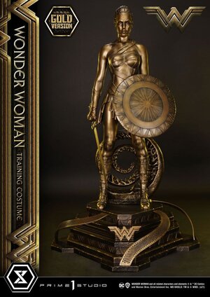 Preorder: Wonder Woman Statue Wonder Woman Training Costume Gold Version 80 cm