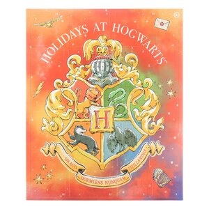 Preorder: Harry Potter Advent Calendar 2022