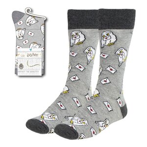 Preorder: Harry Potter Socks Hedwig with Letter 38-45