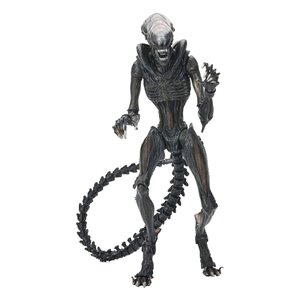 Preorder: Alien: Romulus Ultimate Action Figure Scorched Xenomorph 18 cm