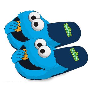 Preorder: Sesame Street Slippers L-XL