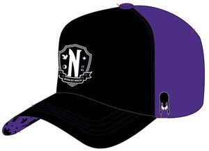 Preorder: Wednesday Curved Bill Cap Nevermore