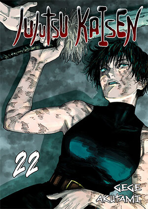 Jujutsu Kaisen #22