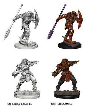 Dungeons and Dragons: Nolzurs Marvelous Miniatures - DragonbornMale Fighter w Spear