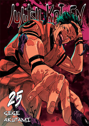 Jujutsu Kaisen #25
