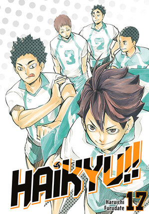 Haikyu!! #17