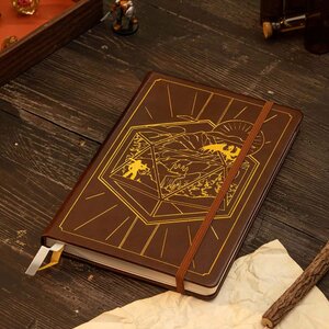 Preorder: Dungeons & Dragons RPG Journal 5e Brown
