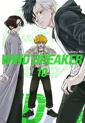 Wind Breaker #10