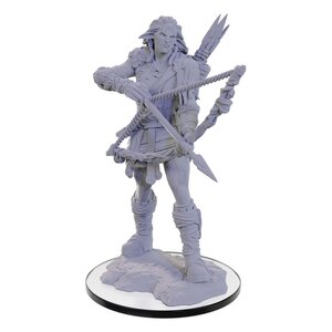 Preorder: Pathfinder Deep Cuts Unpainted Miniature Wood Giant