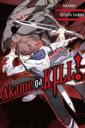 Akame ga KILL! vol 14 GN Manga