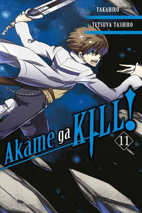 Akame ga KILL! vol 11 GN Manga