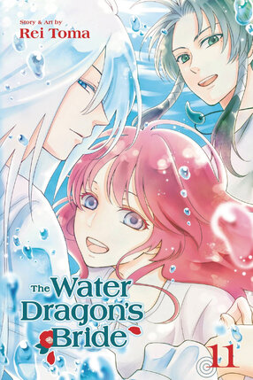 Water Dragon's Bride vol 11 GN Manga