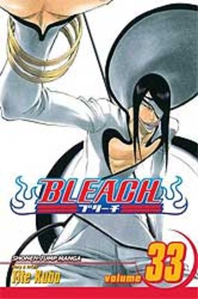 Bleach vol 33 GN