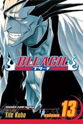 Bleach vol 13 GN