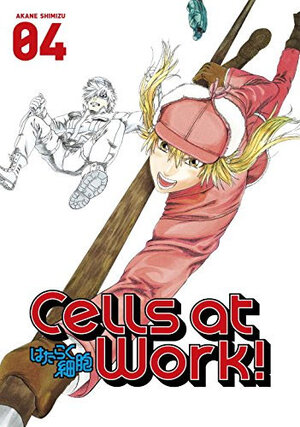 Cells at Work! vol 04 GN Manga