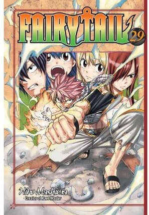 Fairy tail vol 29 GN