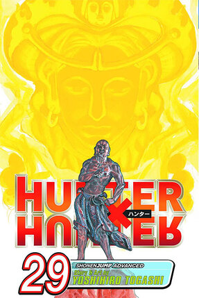 Hunter X Hunter vol 29 GN