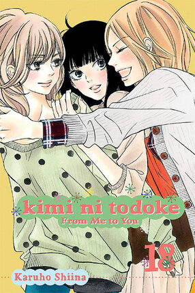Kimi Ni Todoke From Me To You vol 18 GN