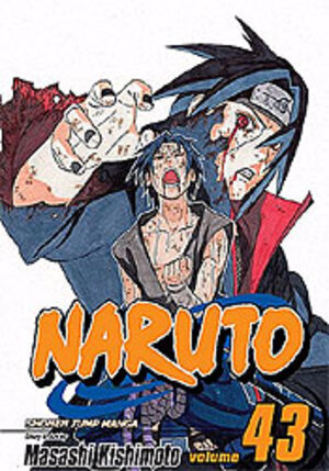 Naruto vol 43 GN