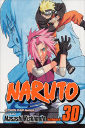 Naruto vol 30 GN