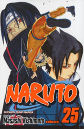 Naruto vol 25 GN