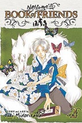 Natsume's Book of Friends vol 02 GN