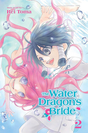 Water Dragon's Bride vol 02 GN Manga