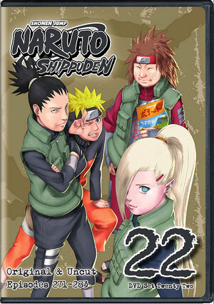 Naruto Shippuden Box set 22 DVD