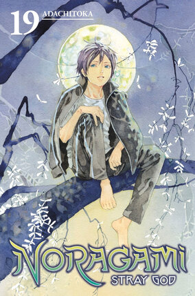 Noragami Stray God vol 19 GN Manga
