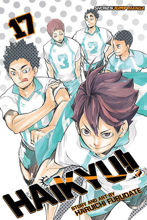 Haikyuu!! vol 17 GN Manga