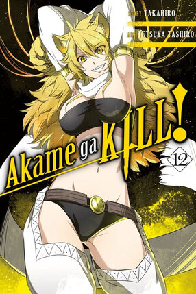 Akame ga KILL! vol 12 GN Manga