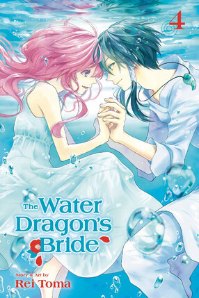 Water Dragon's Bride vol 04 GN Manga