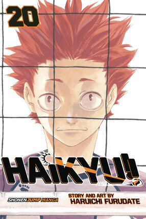 Haikyuu!! vol 20 GN Manga