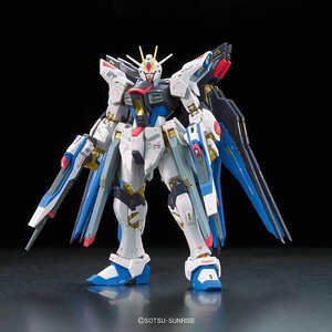 Mobile Suit Gundam Seed Destiny Plastic Model Kit - RG Zgmf-x20a Strike Freedom Gundam 1/144